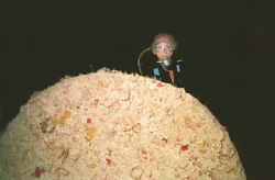 Pam @ Prop of Upright Spiegel Grove @ 1336' and @ night -... by Michael Sacito 